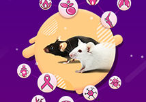The Revolutionary Transgenic Mice of Cyagen: A Game-Changer in Medical Research